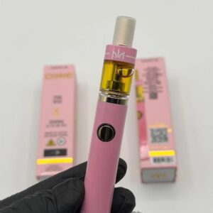 Dime 2G disposable vape